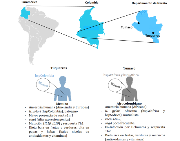 mapa afrocolombiano