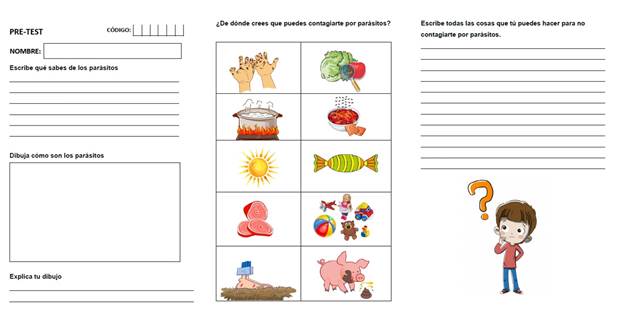 Figura 1