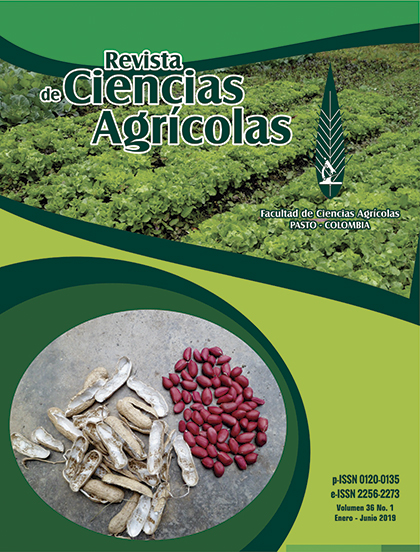 					View Vol. 36 No. 1 (2019): Revista de Ciencias Agrícolas - First semester, January - June 2019
				