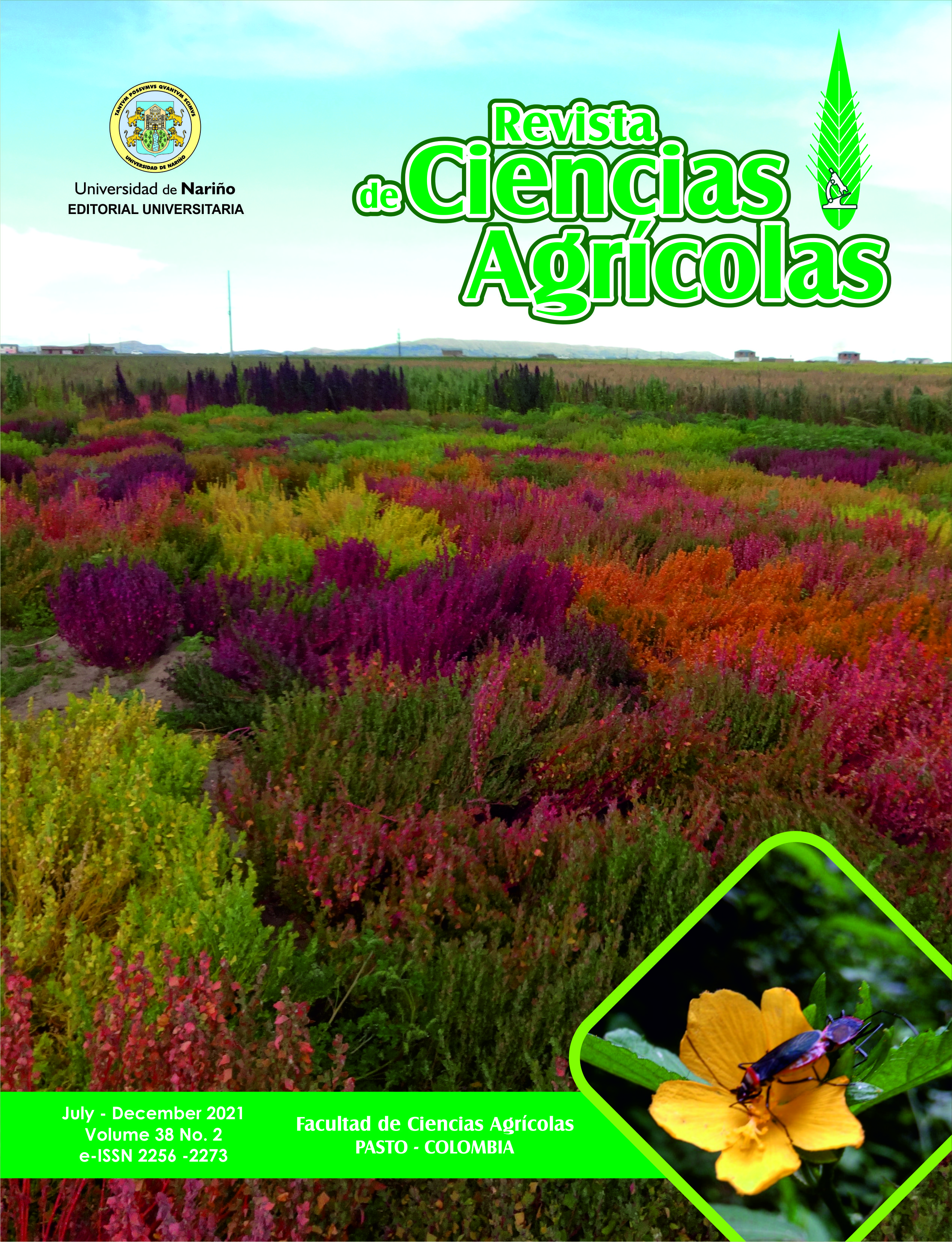 					View Vol. 38 No. 2 (2021): Revista de Ciencias Agrícolas - Second semester, July - December 2021
				