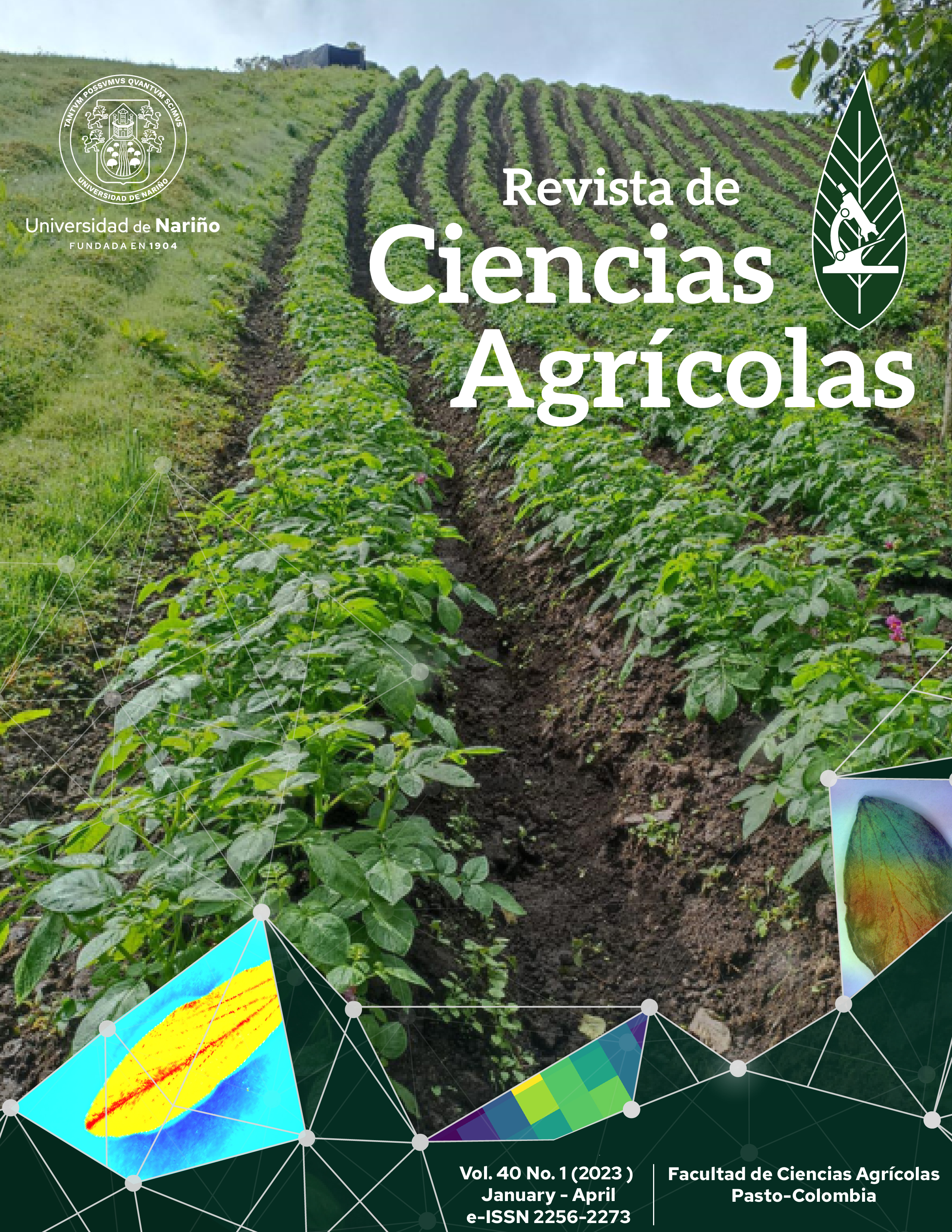 					View Vol. 40 No. 1 (2023): Revista de Ciencias Agrícolas - January - april 2023
				