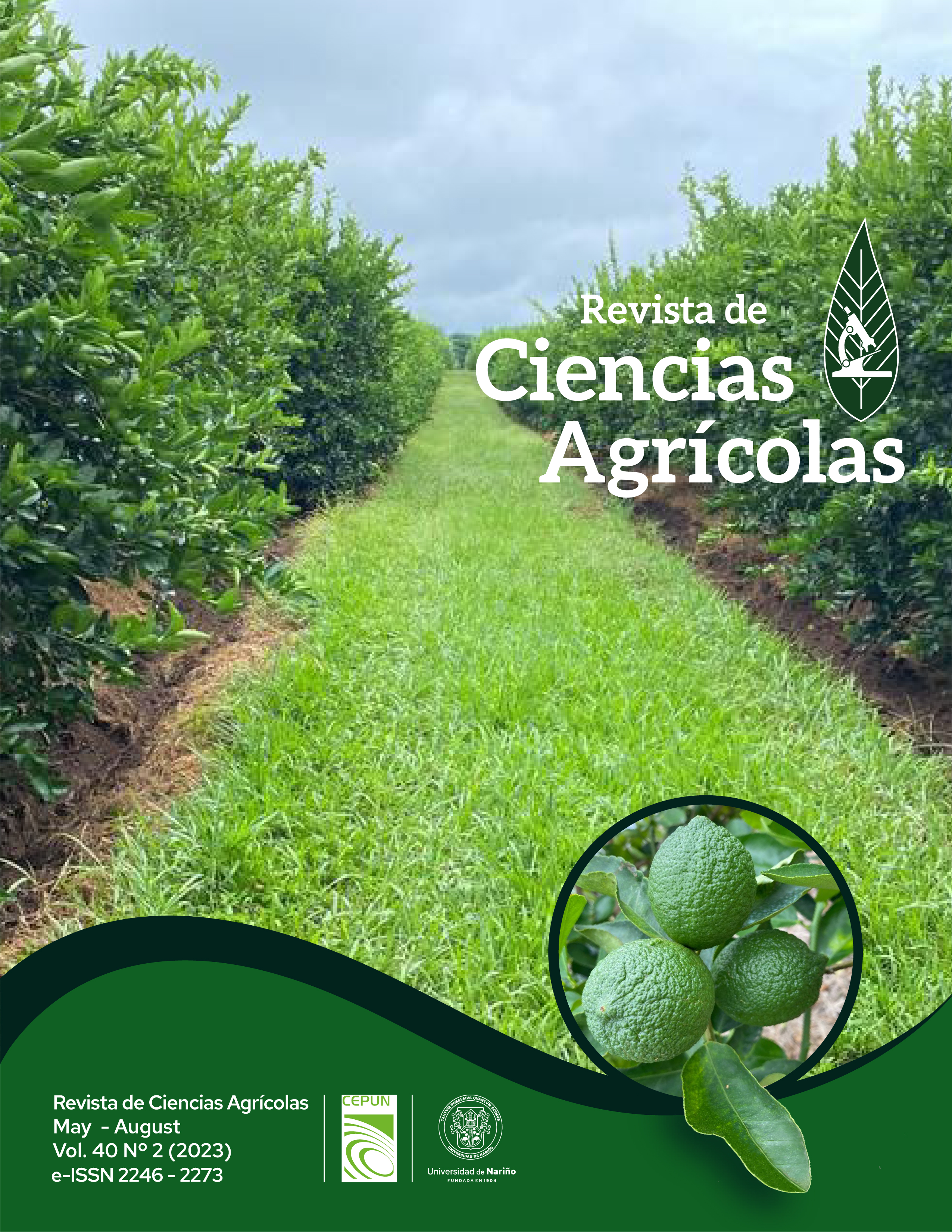 					View Vol. 40 No. 2 (2023): Revista de Ciencias Agrícolas -  Mayo - August 2023
				