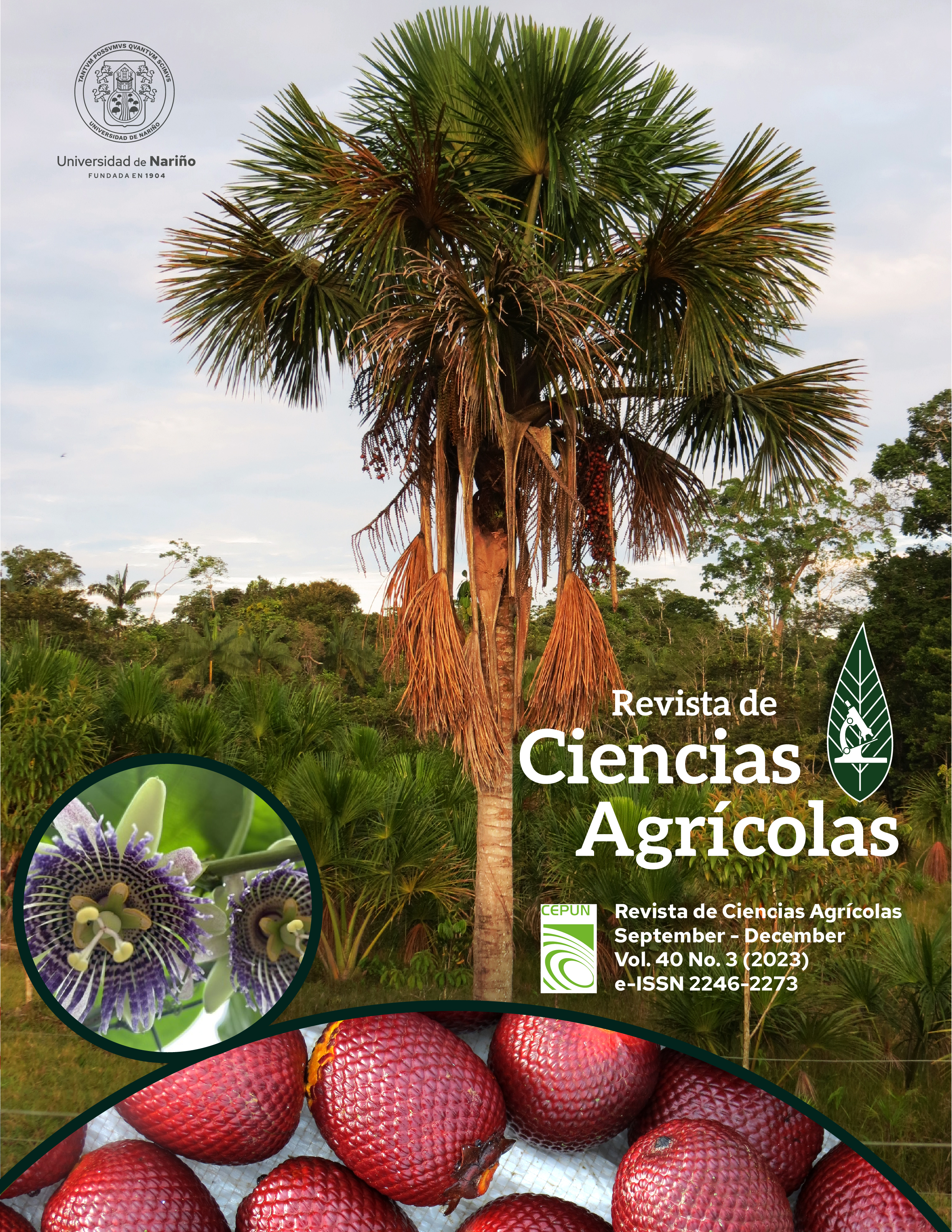 					Ver Vol. 40 Núm. 3 (2023):  Revista de Ciencias Agrícolas - Third semester, September - December 2023
				