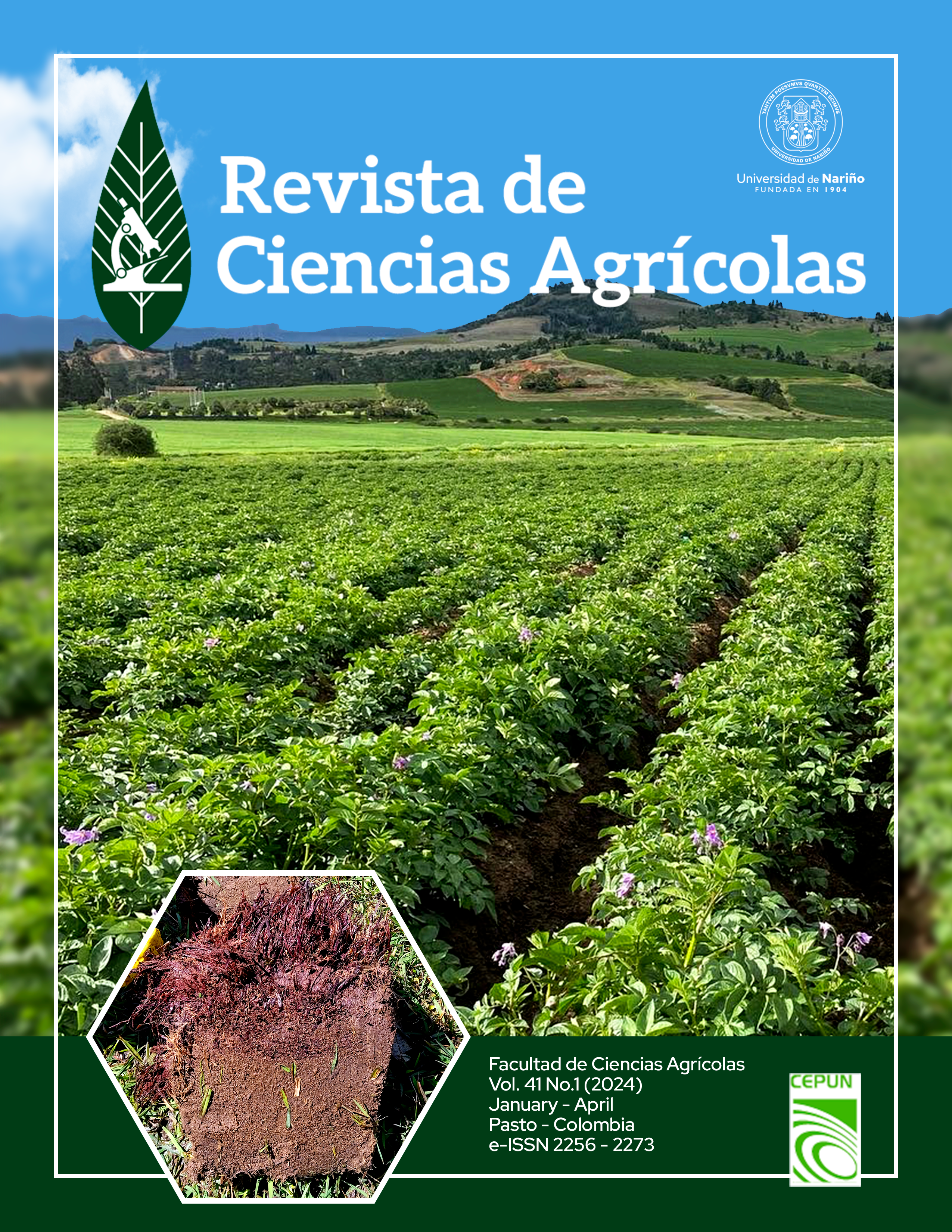 					View Vol. 41 No. 1 (2024): Revista de Ciencias Agrícolas - January - april 2024
				